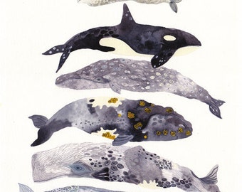 Seven Whales Stacked - Archival Print