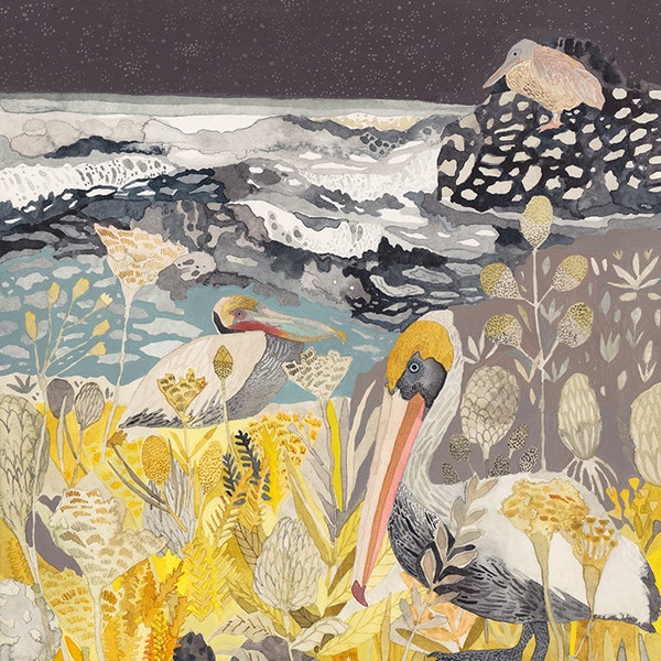 Winter Pelicans and Yarrow - Archival Print