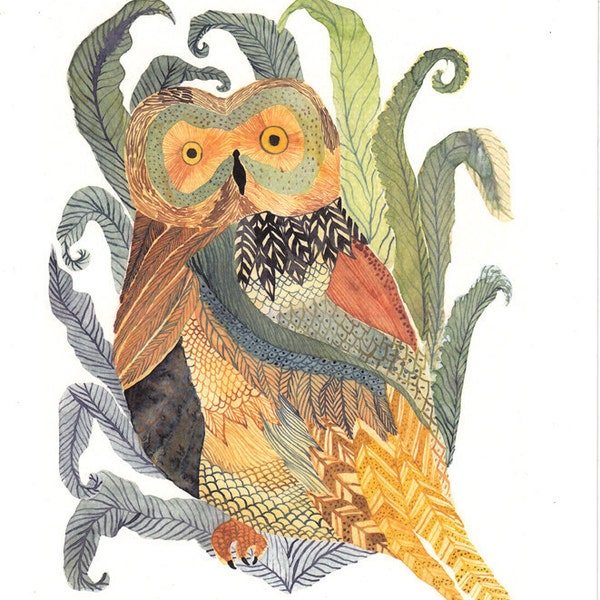 Owl Fern -  Limited Edition Print