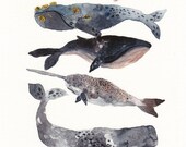 Five Whales Stacked -  Larger Archival Print