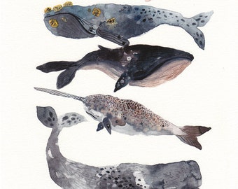 Five Whales Stacked - Larger Archival Print