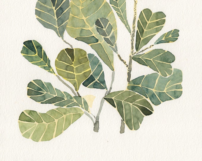 Fiddle Leaf Fig Original Watercolor Painting - Etsy