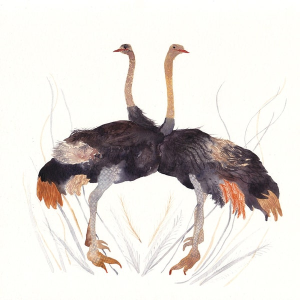Ostrich Pair -Original watercolor painting