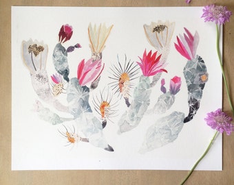 Engelmann's Hedgehog Cactus  - Archival print