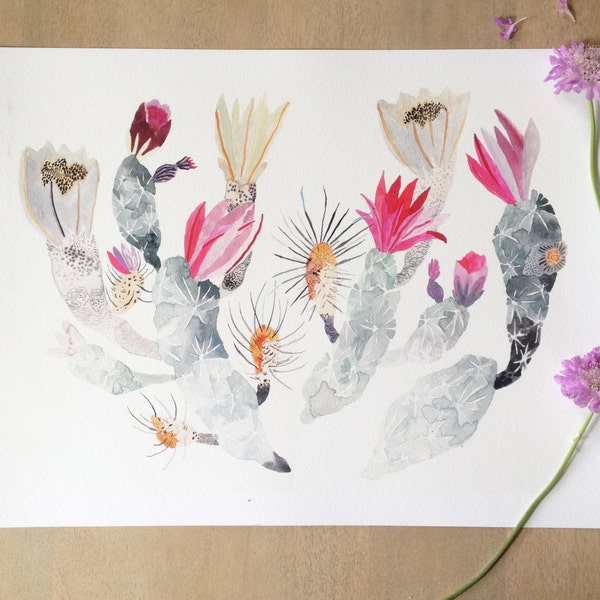 Engelmann's Hedgehog Cactus  - Larger Archival print