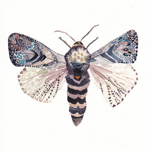 Moth - 8.5" x 8.5" Archival Print