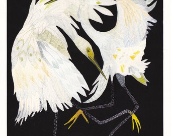 Dancing Egrets-  Archival Print