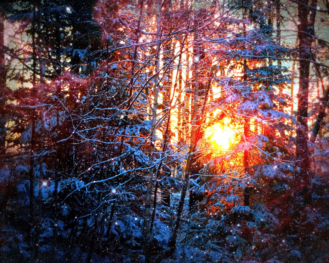 Winter Sunrise in the Northwoods Digital Download Wisconsin Etsy