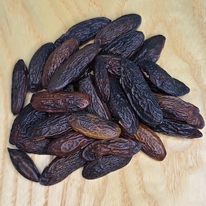 Tonka Beans - Dipteryx Odorata - Venezuela