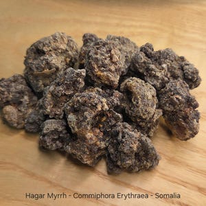 Hagar Myrrh Resin - Commiphora Erythrea - Somalia