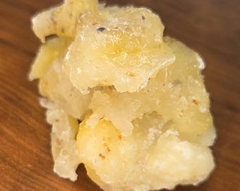 Gum Elemi - Canarium Luzonicum - Philippines