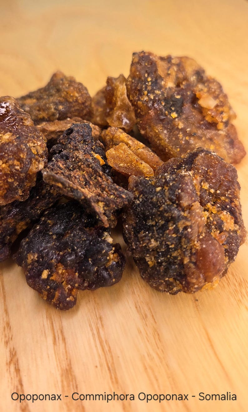 Myrrh opoponax Resin Commiphora Guidotti Somalia Etsy myrrh-opoponax-resin-commiphora-guidotti-somalia-etsy