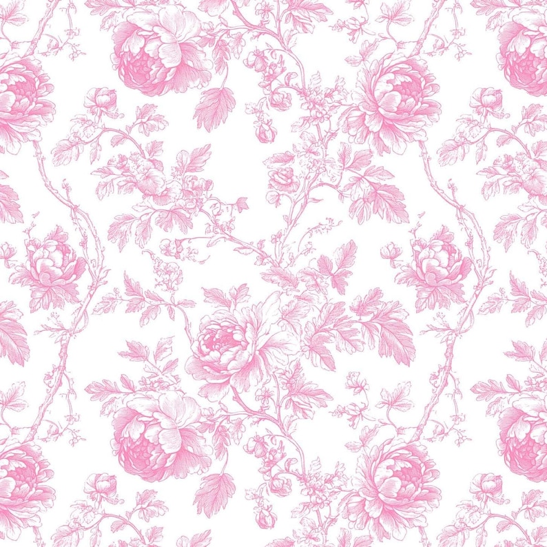 Flat view of a repeating pink and white toile fabric with detailed sketches of roses and leaves.