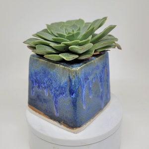 Vase succulent petit carré bleu planteur plantes aériennes image 2