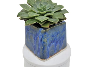 Succulent Vase Small Square Blue Planter Air Plants