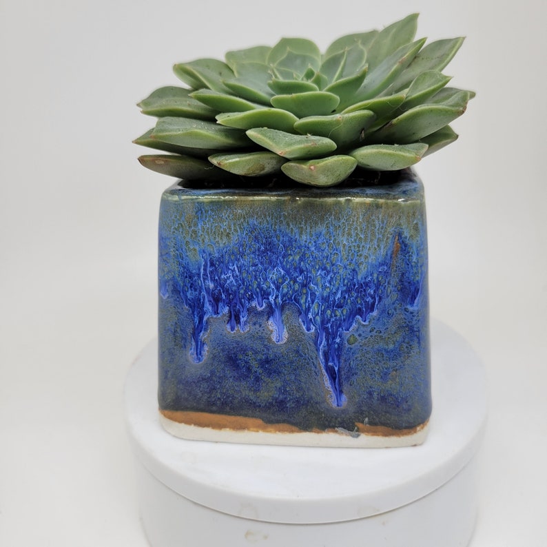 Vase succulent petit carré bleu planteur plantes aériennes image 5