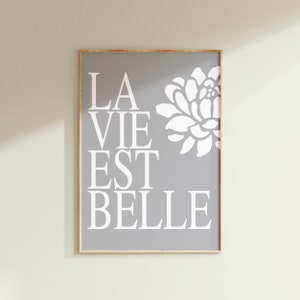 Puede incluir: Una impresi&oacute;n enmarcada gris con el texto "La Vie Est Belle" en letras blancas y un dise&ntilde;o de flor estilizado blanco.