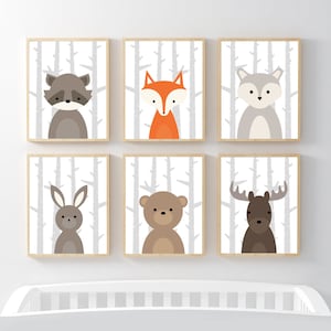 May include: Six framed prints featuring woodland animals against a white birch tree background. The animals include a raccoon, fox, wolf, rabbit, bear, and moose.