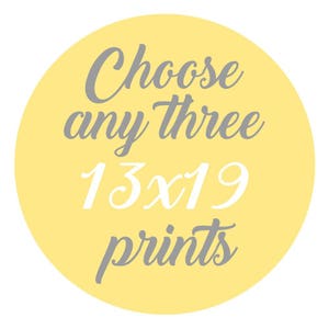 SALE - Mix and Match - Create Your Own Set - Choose Any Three 13x19 Inch Prints - You Choose The Prints and Colors