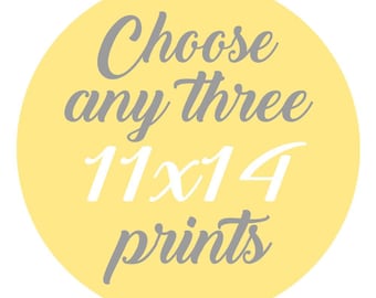SALE - Mix and Match - Create Your Own Set - Choose Any Three 11x14 Inch Prints - You Choose The Prints and Colors