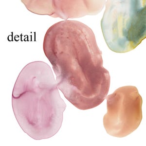 Pode incluir: Pintura abstrata em aquarela com cinco manchas de tinta de cores diferentes. As cores s&atilde;o rosa, p&ecirc;ssego claro, marrom claro, azul claro e um marrom mais escuro. A palavra "detail" est&aacute; escrita em preto no canto superior esquerdo da imagem.