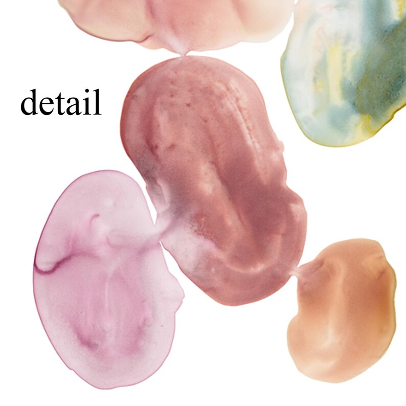 Pode incluir: Pintura abstrata em aquarela com cinco manchas de tinta de cores diferentes. As cores s&atilde;o rosa, p&ecirc;ssego claro, marrom claro, azul claro e um marrom mais escuro. A palavra "detail" est&aacute; escrita em preto no canto superior esquerdo da imagem.