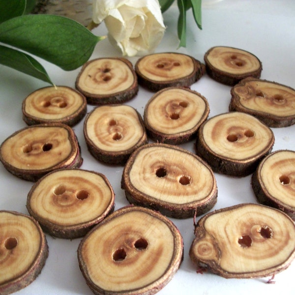 14 Wood Buttons - Northern White Cedar Tree Branch Buttons  7/8 - 1  inch or  25.4 mm for Knitting Crochet and Fiber Projects