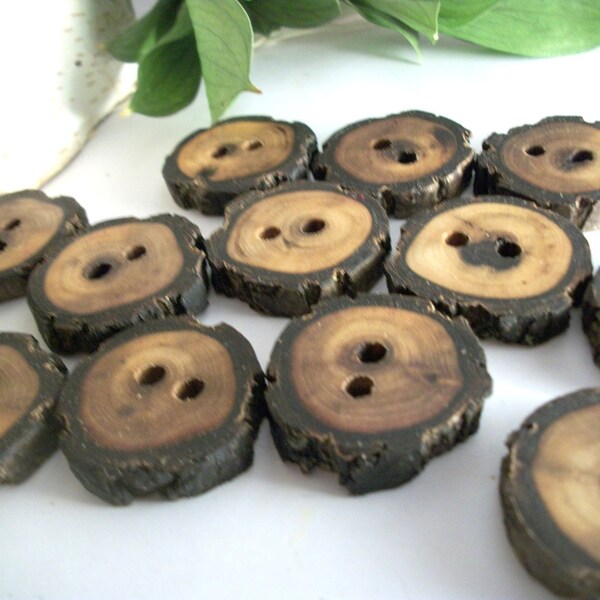Rustic Wood Buttons 12 Michigan Black Walnut Tree Branch Buttons  - 1 Inch  or 25 mm - for Knitting, Crochet, Sewing Projects