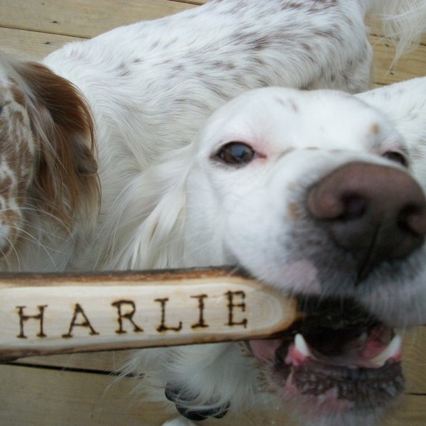 Dawg Stick - Dog Toy Wooden Throwing Stick with Instructions/ Personalized  with A WoodBurned Name for Outside Fun and Games