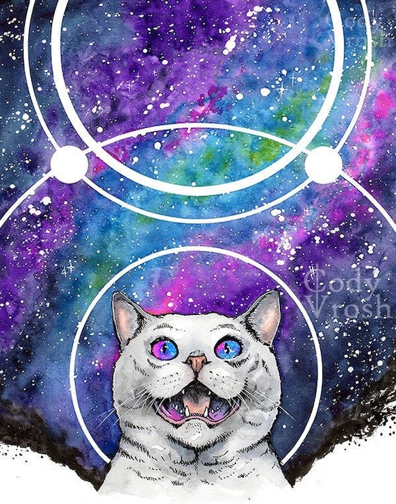 cat in galaxy