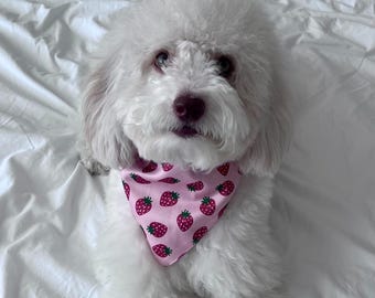 Dog Bandana