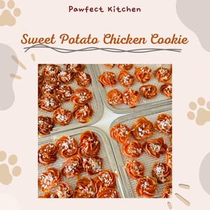 May include: A close-up of four trays of sweet potato and chicken dog treats. The treats are orange and have a swirl design. The treats are on a wire rack and are ready to be packaged.