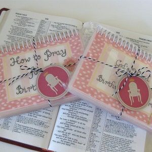 SALE How to Pray for a Birthmother/God's Word for a Birthmom's Heart Combo Set, Laminated Cards, Spiral-Bound image 4