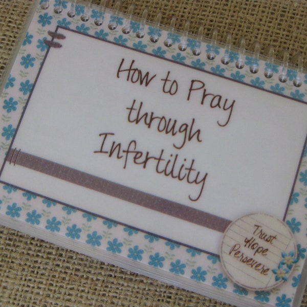How to Pray Through Infertility, Spiral-Bound, Laminated Bible Verse Cards