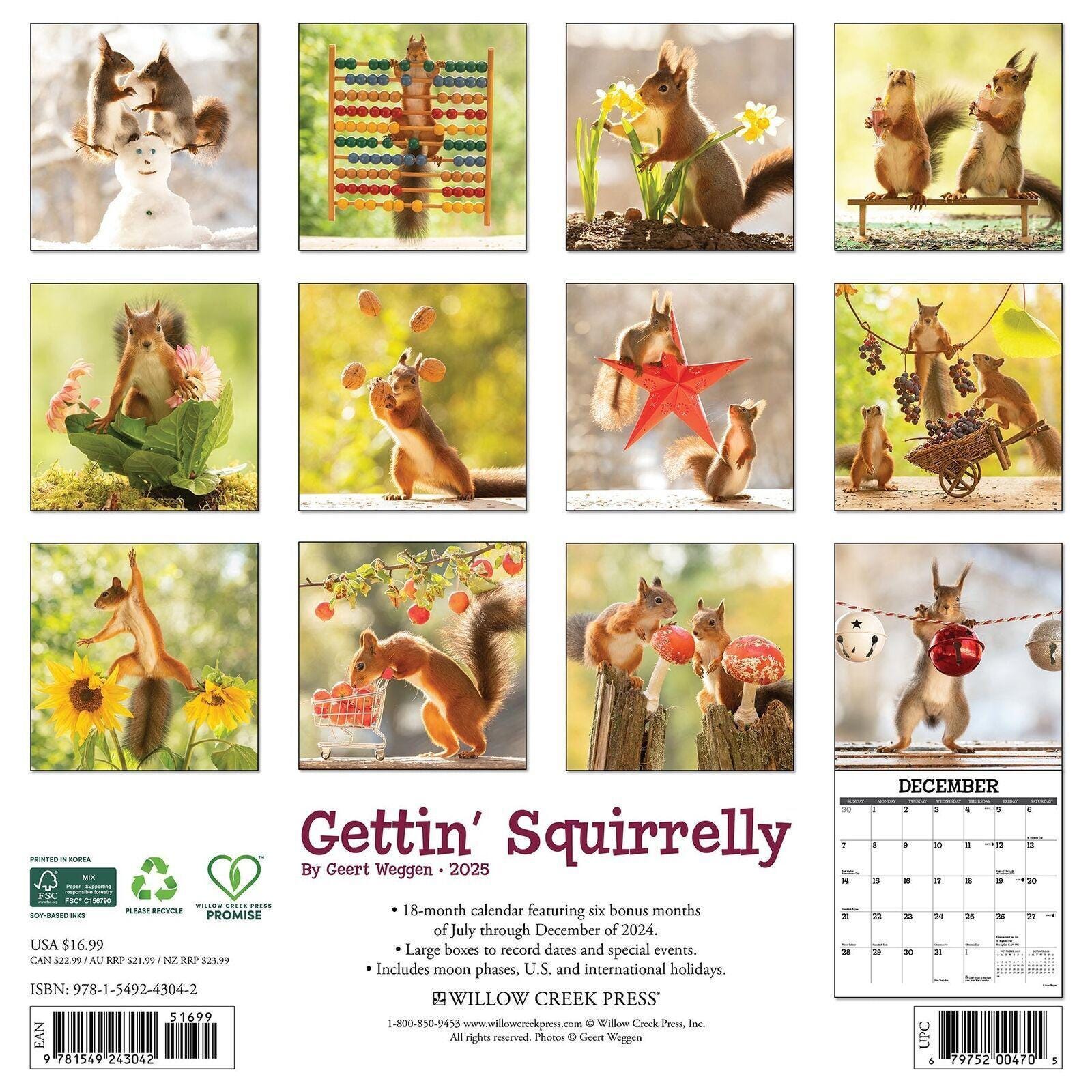 Willow Creek Gettin' Squirrelly 2025 12 X 12 Wall Calendar Etsy