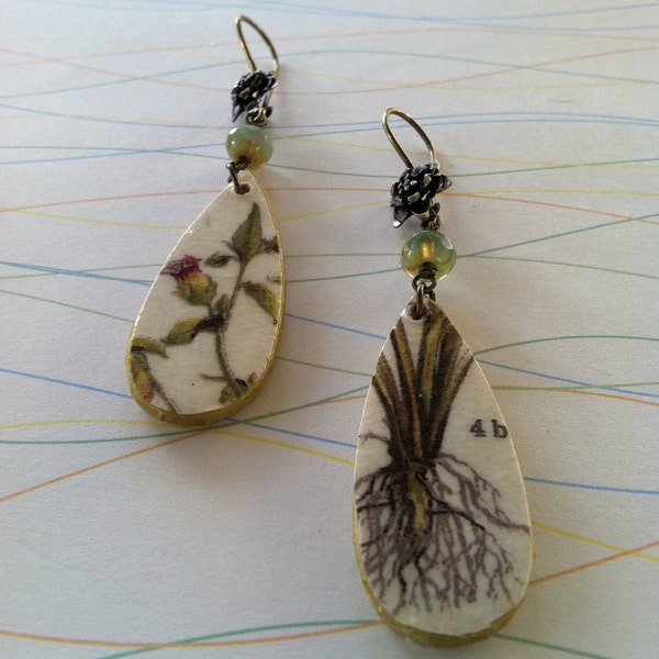 Drop Earrings with Botanical Illustration of Daphne Flower