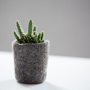 Wool planter for succulents, Mini plant favor, Hygge home decor, Organic felted vase, Mountain rock stone like plant cozy image 1