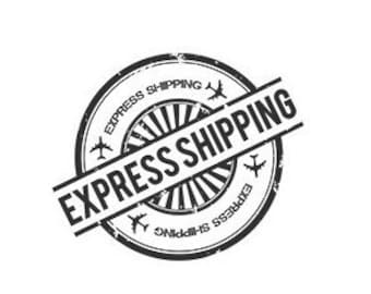 Express Shipping Upgrade for Your Order from This Shop - VaidaPetreikis