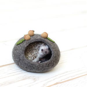 Hedgehog bed, Small pet cave, Eco friendly small animal house, Hamster bed, Woodland fall autumn acorn decor, Pet furniture, Nap pouch image 3