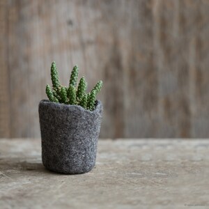 Wool planter for succulents, Mini plant favor, Hygge home decor, Organic felted vase, Mountain rock stone like plant cozy image 2