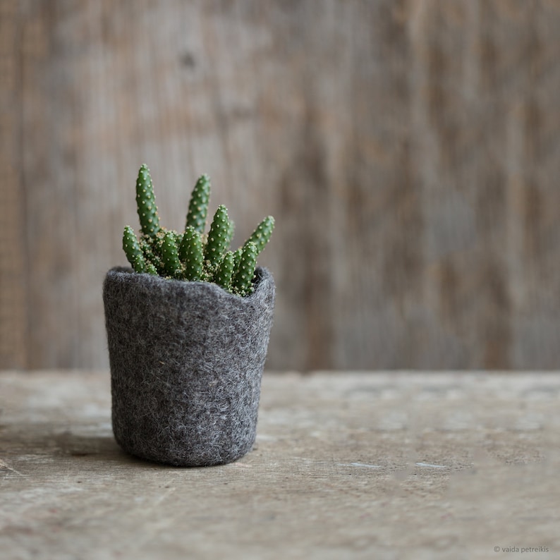 Wool planter for succulents, Mini plant favor, Hygge home decor, Organic felted vase, Mountain rock stone like plant cozy image 2