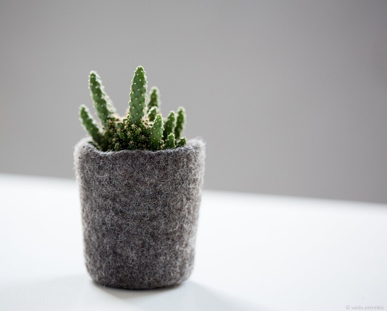 Wool planter for succulents, Mini plant favor, Hygge home decor, Organic felted vase, Mountain rock stone like plant cozy image 1