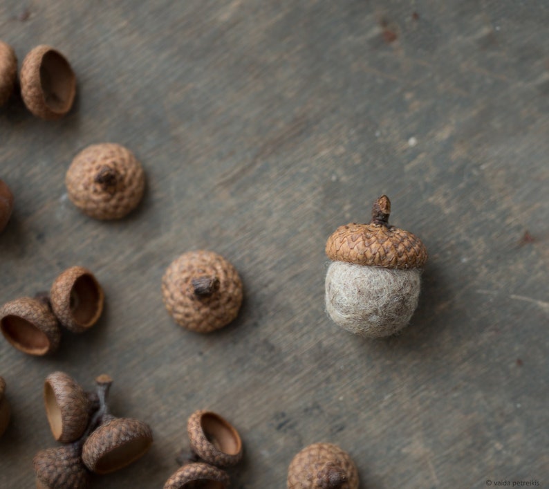 Woodland wedding favor Fridge magnet with natural real acorn cap and wool bead in organic beige color packed in a kraft box, handmade gift image 1