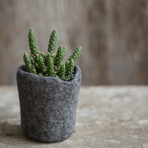 Wool planter for succulents, Mini plant favor, Hygge home decor, Organic felted vase, Mountain rock stone like plant cozy image 7