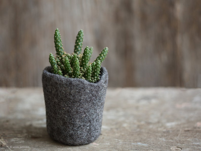Wool planter for succulents, Mini plant favor, Hygge home decor, Organic felted vase, Mountain rock stone like plant cozy image 7