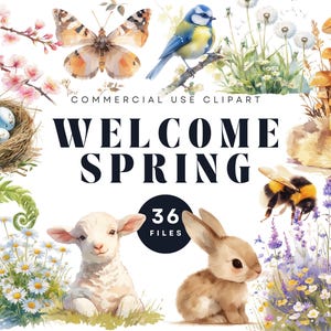 Può includere: Un set di illustrazioni ad acquerello con 36 immagini a tema primaverile. Il set include un passero azzurro, una farfalla, funghi, un anatroccolo, un'ape, un agnello, un coniglio, una felce, fiori e uova in un nido. Il testo "Welcome Spring" è presente al centro dell'immagine.