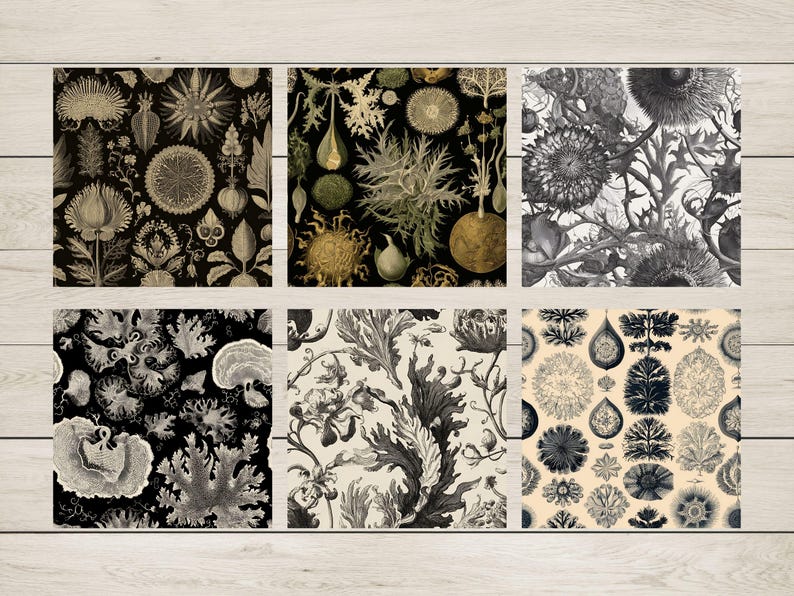 May include: Six different black and white botanical illustrations featuring intricate details of plants and flowers. The illustrations are arranged in a grid pattern.