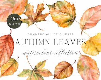 Aquarel herfstbladeren clipart | Fall Foliage PNG (digitale download)