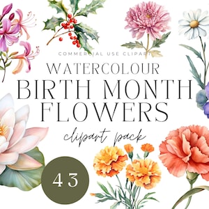 Collection de cliparts aquarelle fleurs du mois de naissance | PNG haute résolution - Art botanique, journaux indésirables, scrapbooking, journaux, papeterie