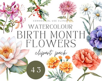 May include: Watercolor clipart pack of 43 birth month flowers. The flowers are painted in a realistic style and include a variety of colors and styles. The text "Watercolour Birth Month Flowers clipart pack" is written in black on a white background.